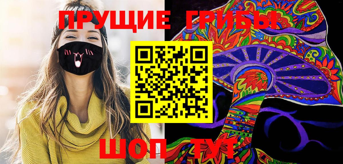 Новомосковск  Псилоцибиновые грибы Cubensis  Вход с VPN 