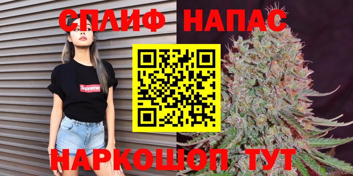 Каннабис сатива Новомосковск